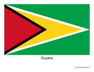 Guyana Free Printable Flag