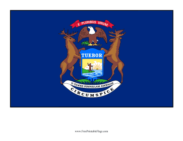Michigan Free Printable Flag